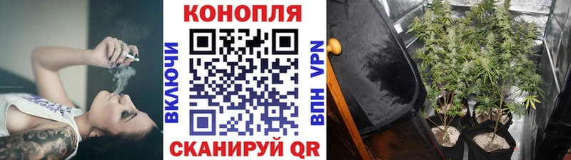 цены наркотик  Ковылкино  Марихуана гибрид 